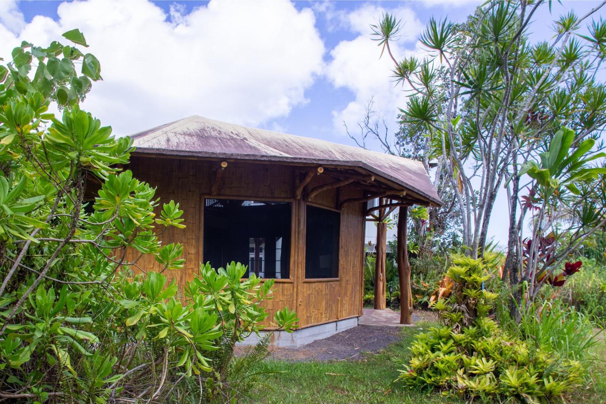 Kalani Oceanside Retreat Villa Pahoa Bagian luar foto