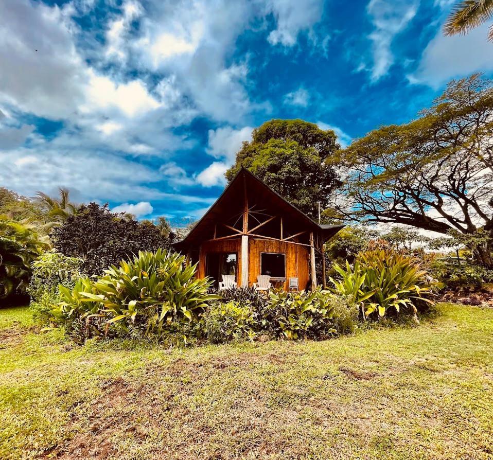 Kalani Oceanside Retreat Villa Pahoa Bagian luar foto